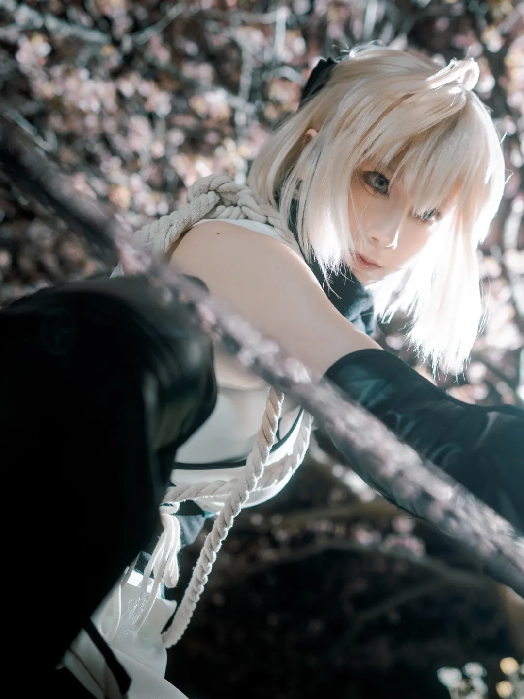 樱花摄影, 冲田总司cos, fgo, 加州清光, 剑道风