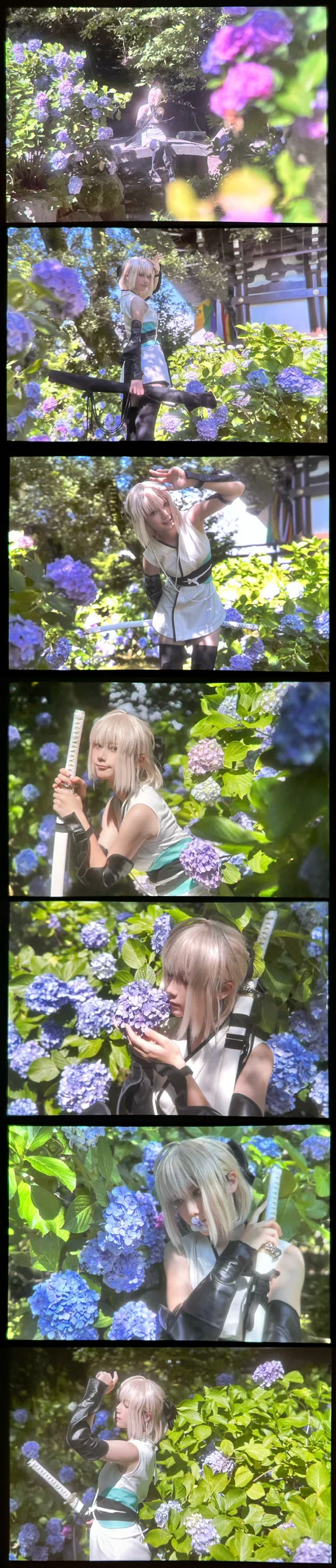 Fate/Grand Order, 沖田總司cos, 外景攝影, 繡球花寫真, 和風服化道 - 第4張