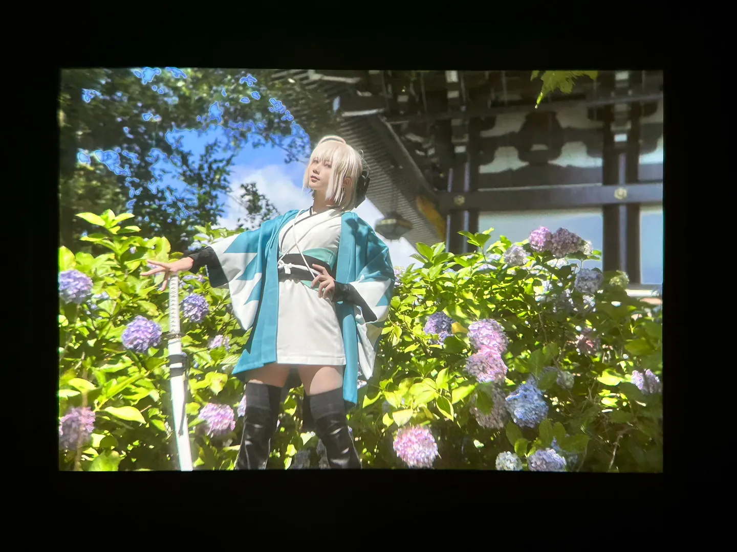 Fate/Grand Order, 沖田總司cos, 外景攝影, 繡球花寫真, 和風服化道 - 第5張