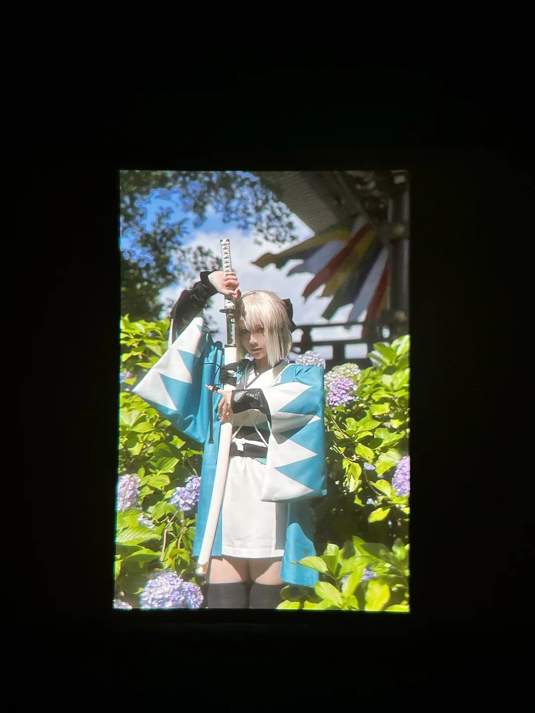 Fate/Grand Order, 沖田總司cos, 外景攝影, 繡球花寫真, 和風服化道 - 第6張