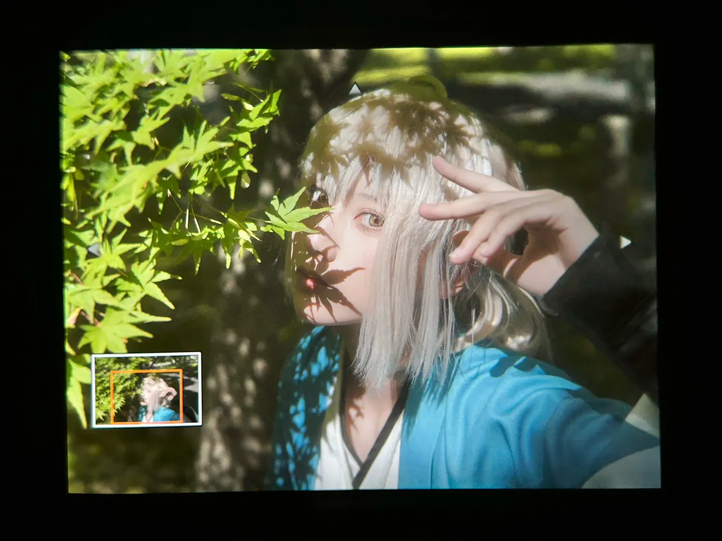 Fate/Grand Order, 沖田總司cos, 外景攝影, 繡球花寫真, 和風服化道 - 第7張