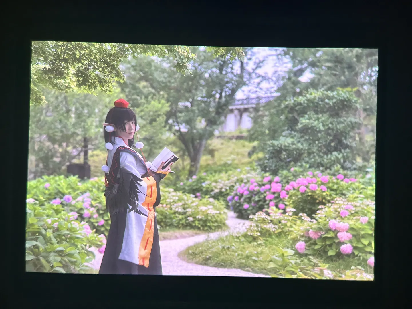 东方project, 户外摄影, 二次元cosplay, 射命丸文cos, 无尽夏 - 第10张