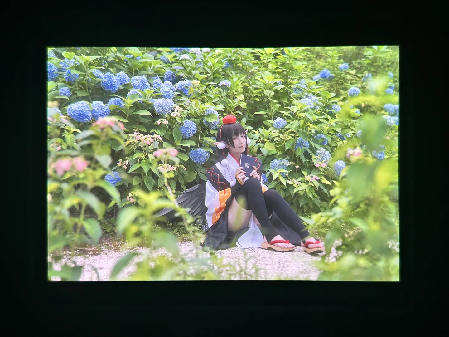 东方project, 户外摄影, 二次元cosplay, 射命丸文cos, 无尽夏 - 第5张