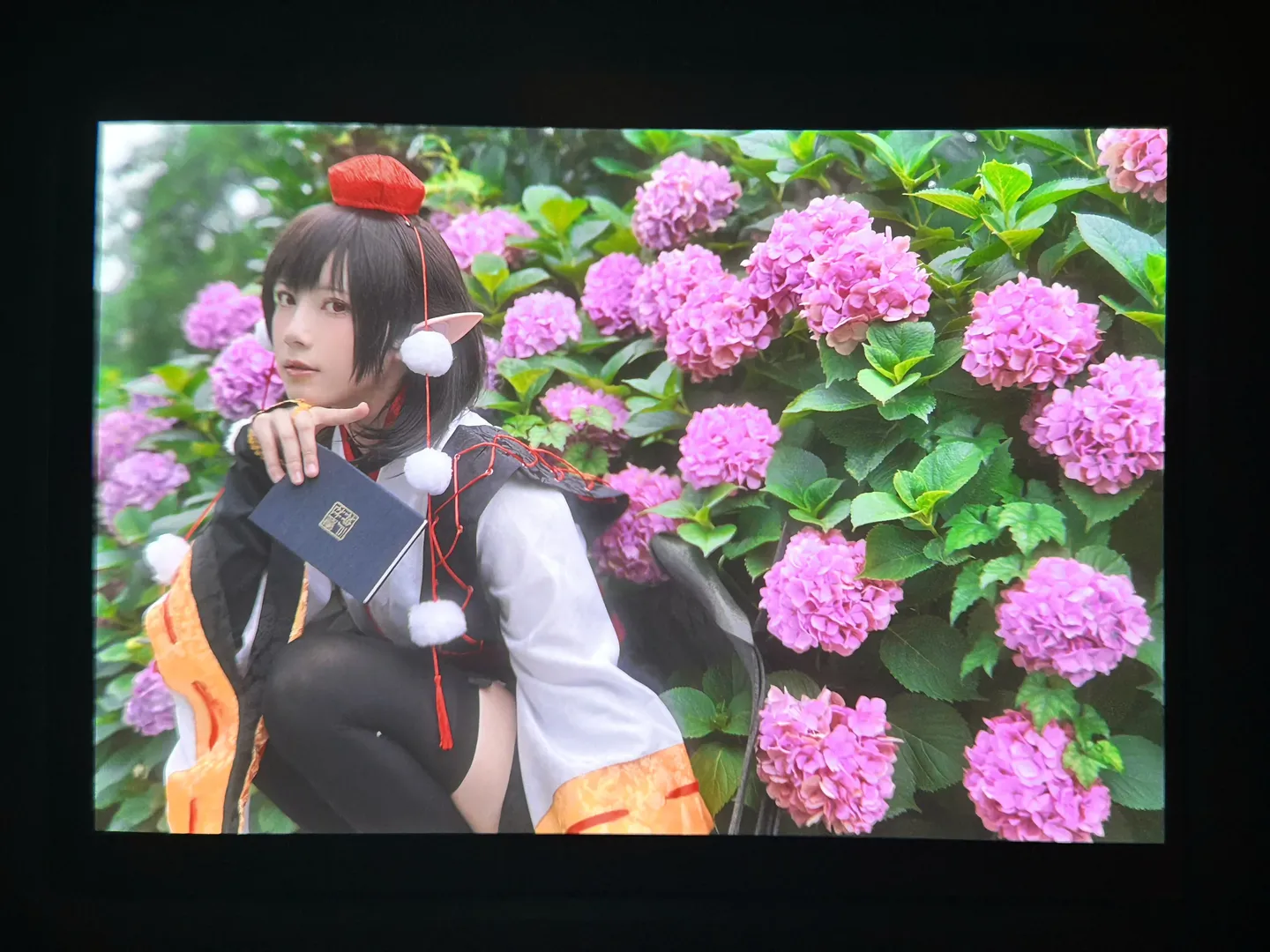 东方project, 户外摄影, 二次元cosplay, 射命丸文cos, 无尽夏 - 第7张