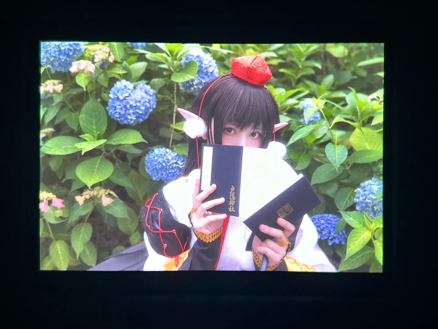 东方project, 户外摄影, 二次元cosplay, 射命丸文cos, 无尽夏 - 第8张