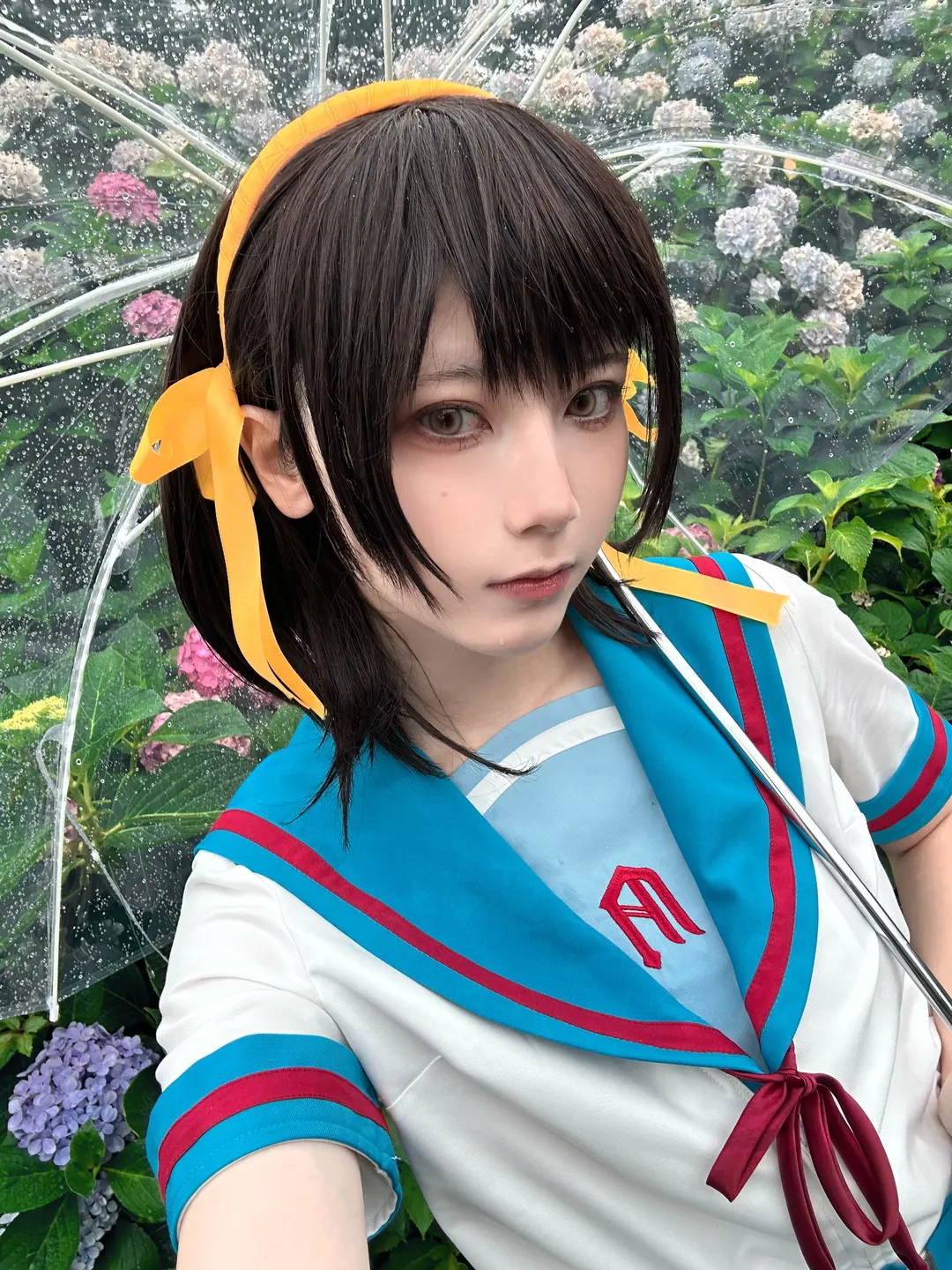 cosplay日常, 凉宫春日cos, 凉宫春日的忧郁, 绣球花写真, 雨中摄影 - 第1张