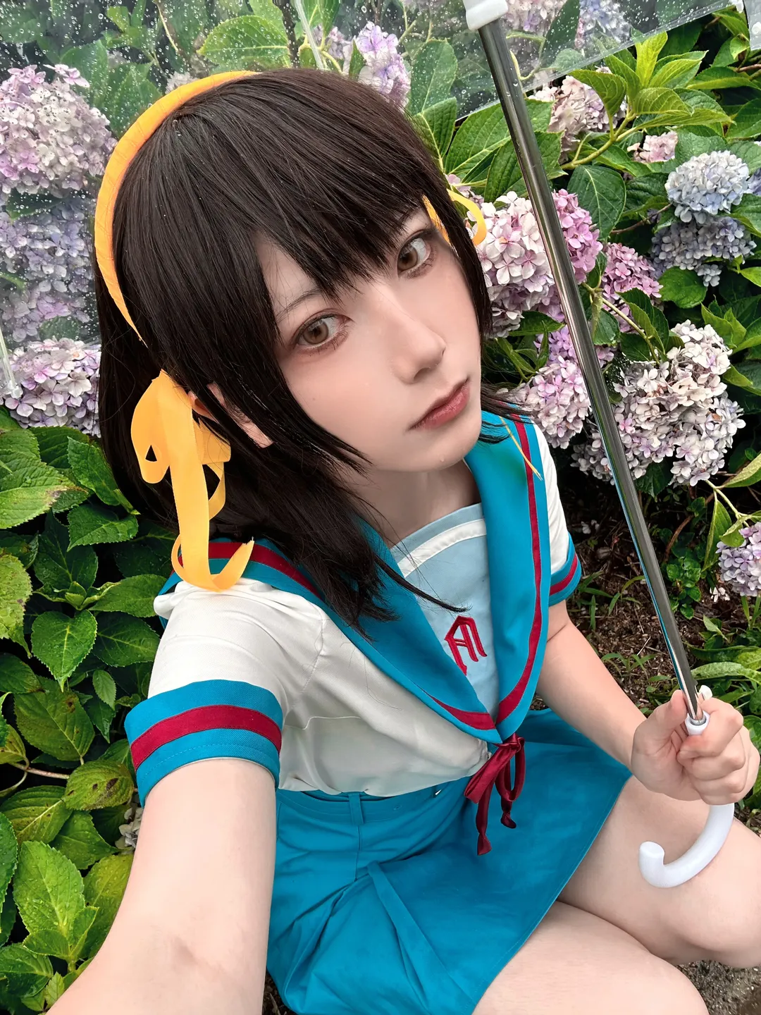 cosplay日常, 凉宫春日cos, 凉宫春日的忧郁, 绣球花写真, 雨中摄影 - 第2张