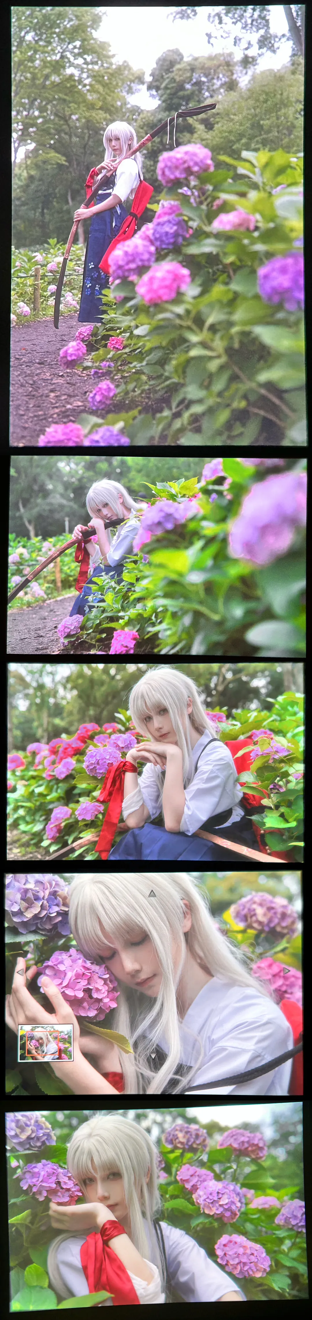 Fate/Grand Order, 绣球花写真, Coser日常, 卡莲奥尔黛西亚cos, 弓道cos - 第7张