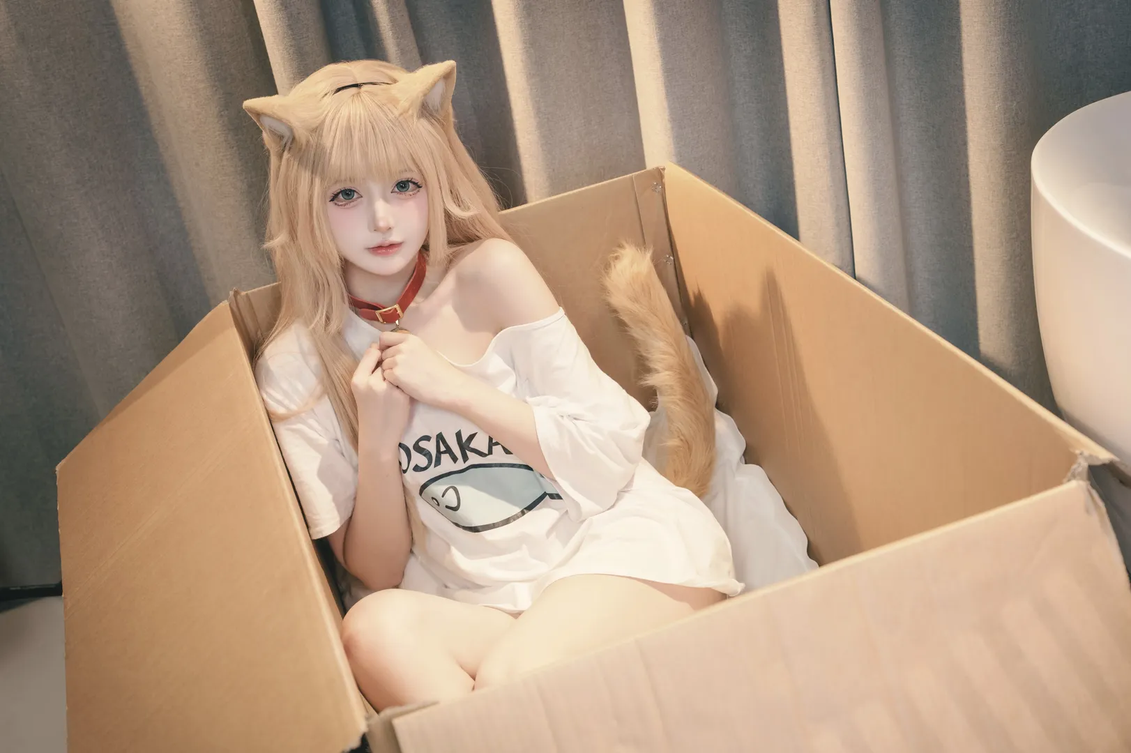 二次元, cosplay, cos正片, 猫耳, 兽耳娘 - 第4张