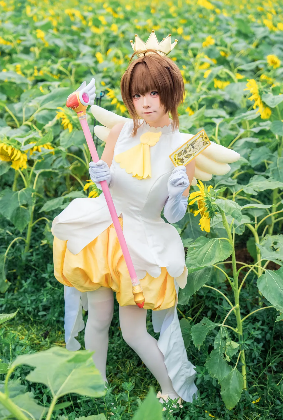 木之本樱cos, 魔卡少女樱, 百变小樱, 向日葵, 小樱战斗服 - 第1张