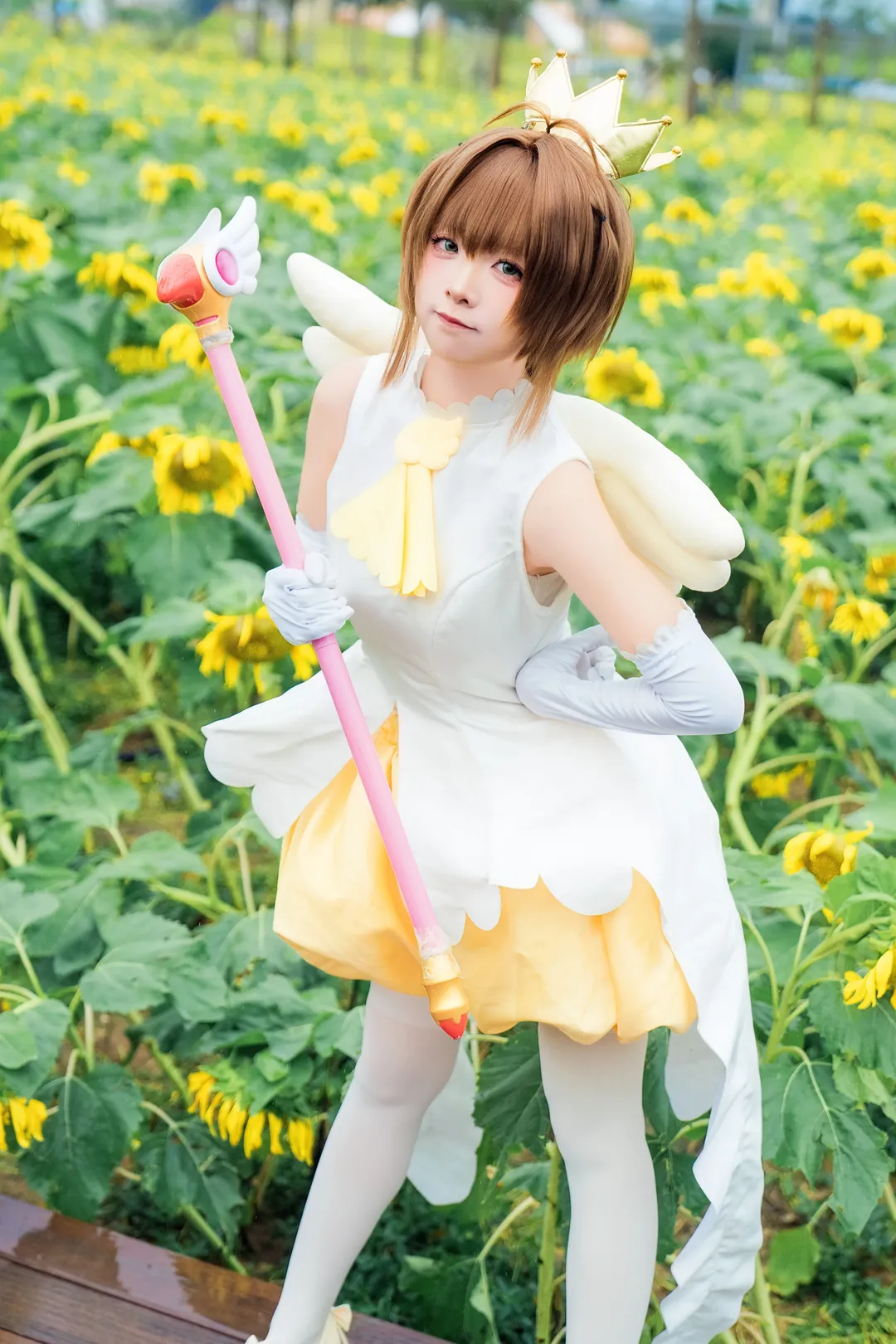 木之本樱cos, 魔卡少女樱, 百变小樱, 向日葵, 小樱战斗服 - 第7张