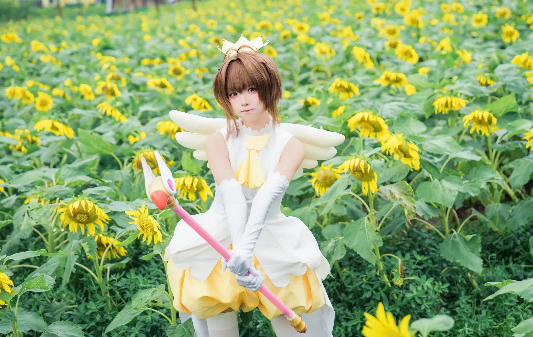 木之本樱cos, 魔卡少女樱, 百变小樱, 向日葵, 小樱战斗服 - 第8张
