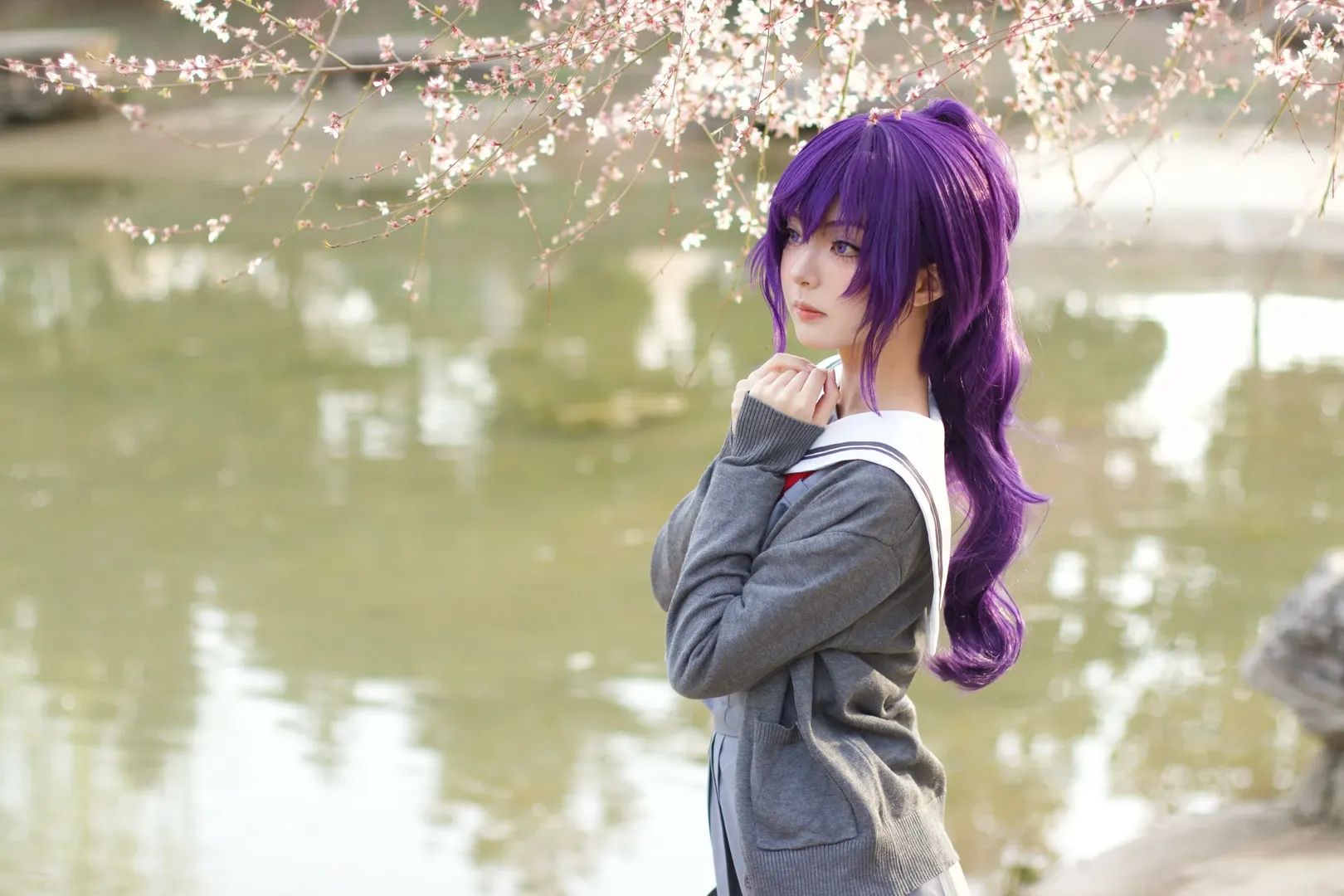 Project Sekai, Cosplay photography, Asahina Mafuyu cosplay, Purple wig, Spring cherry blossoms - Image 4