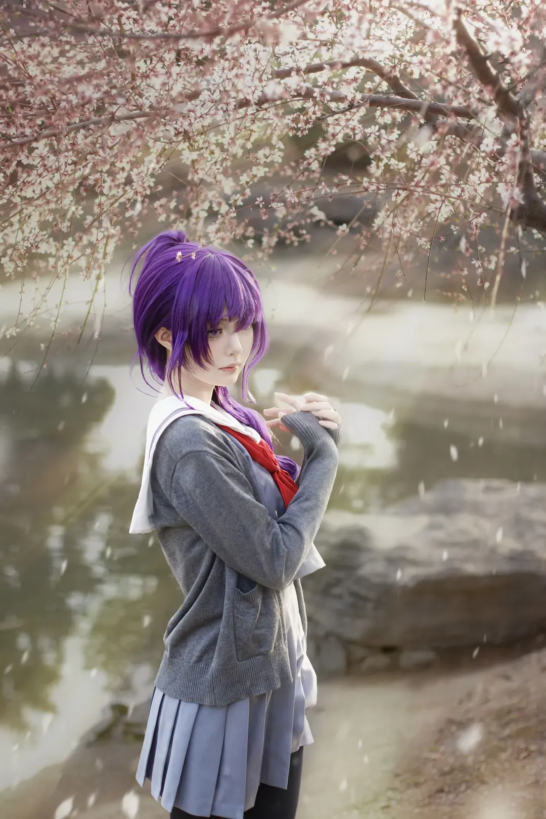 Project Sekai, Cosplay photography, Asahina Mafuyu cosplay, Purple wig, Spring cherry blossoms - Image 5
