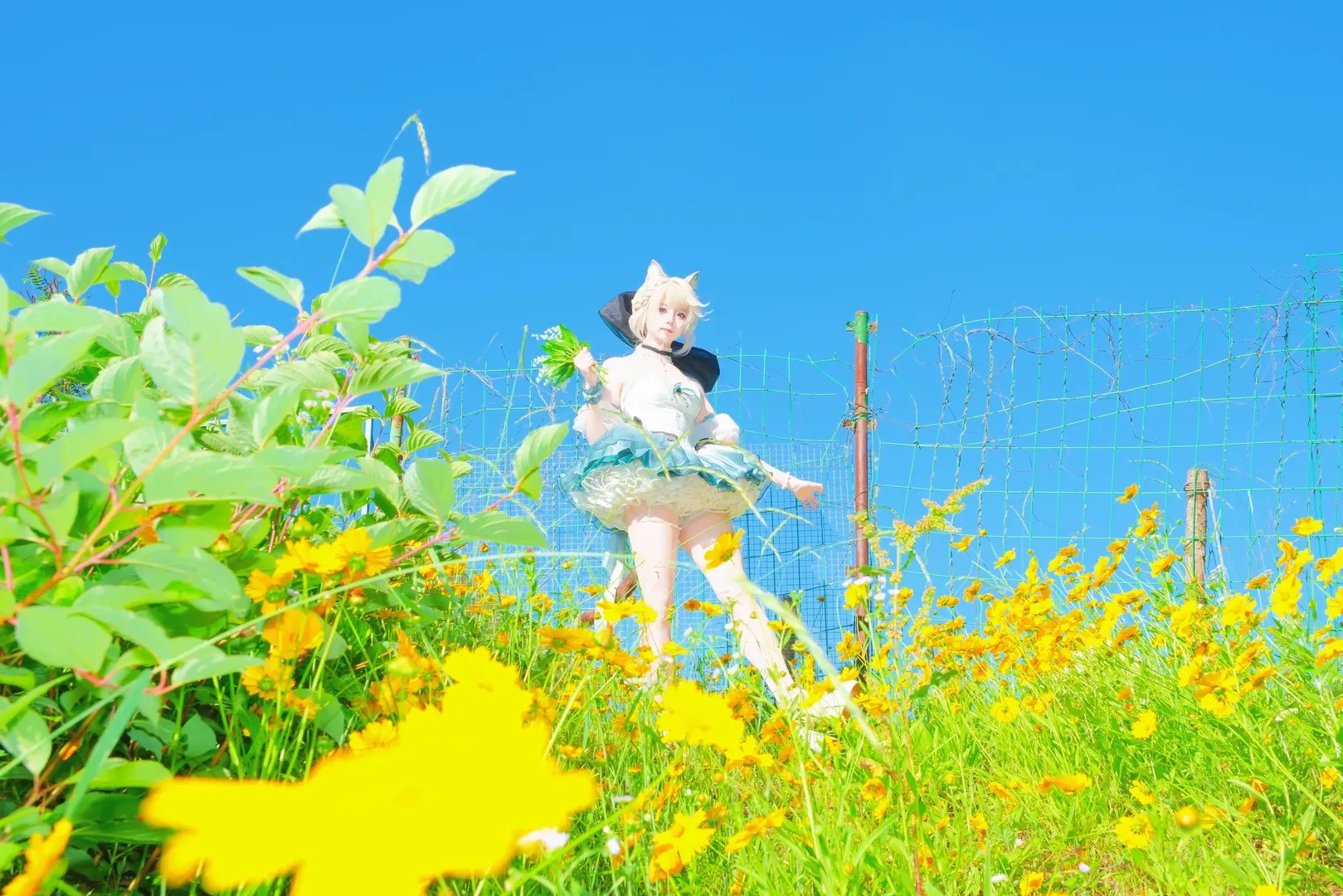 二次元, 琳妮特cos, 氛围感摄影, 夏日花海, 少女风