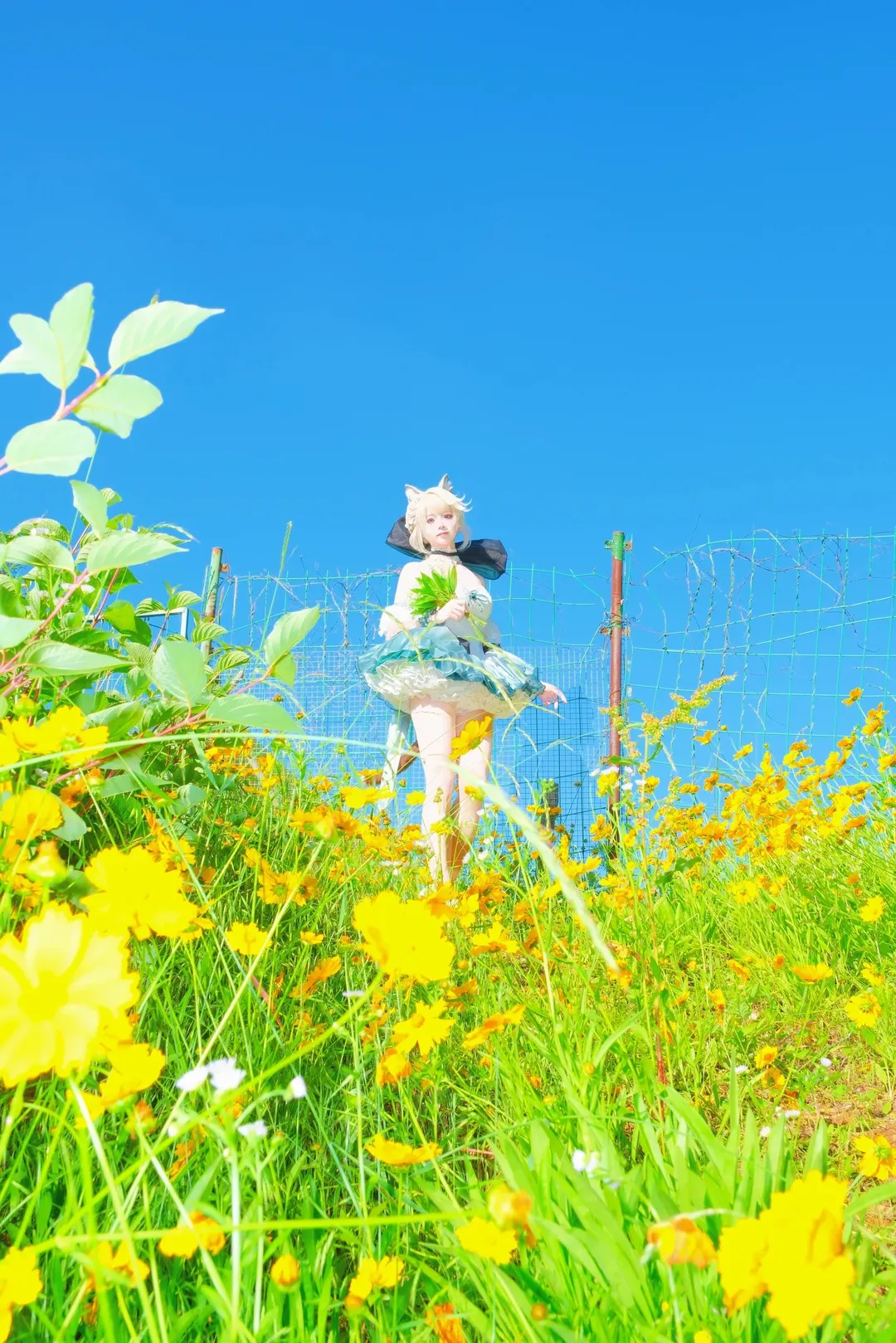 二次元, 琳妮特cos, 氛围感摄影, 夏日花海, 少女风 - 第2张