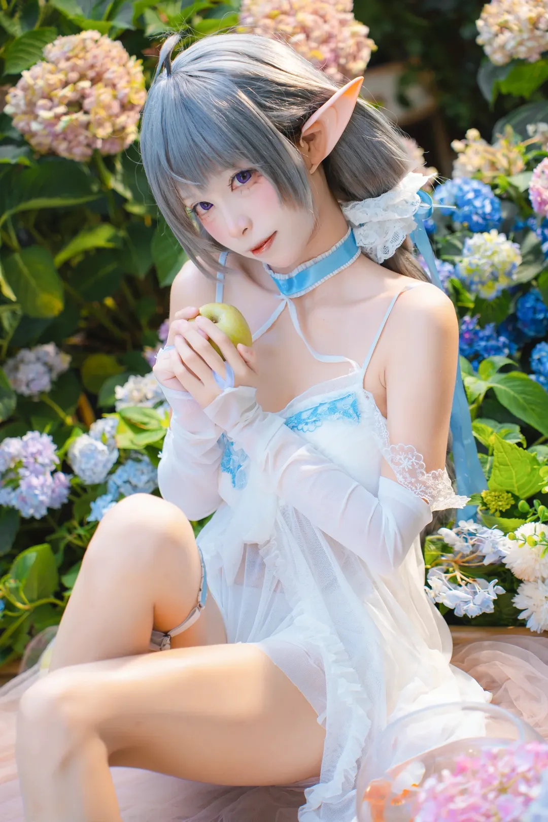 碧蓝航线, 二次元cosplay, 埃佛森cos, 精灵少女写真, 绣球花摄影 - 第3张
