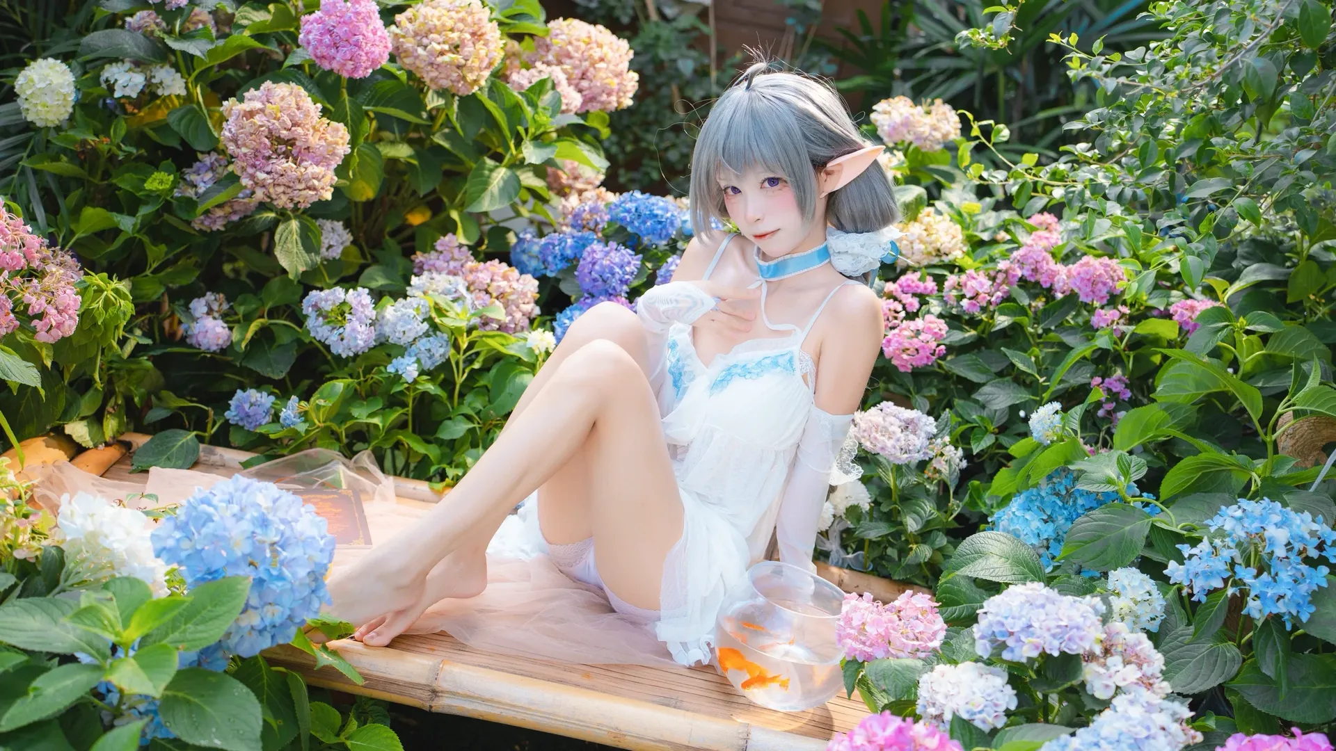 碧蓝航线, 绣球花, 埃佛森cos, 精灵cosplay, 无尽夏