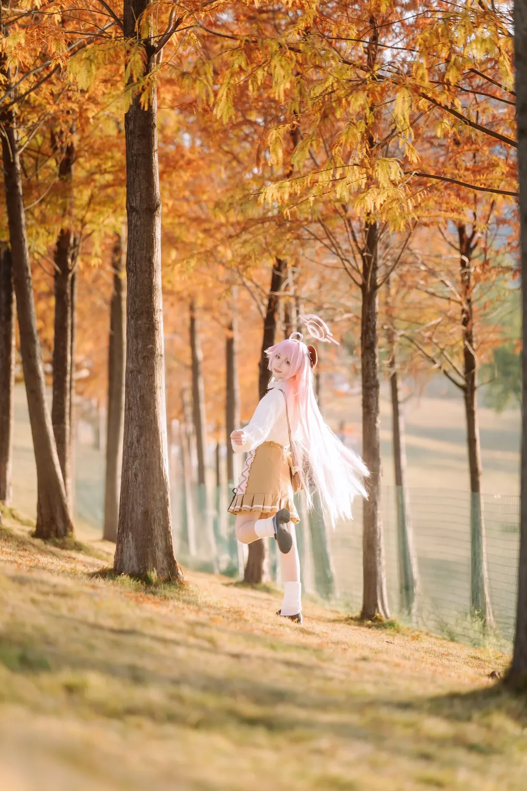 蔚蓝档案, 小鸟游星野cos, 广州拍照, 落羽杉, 秋季cosplay