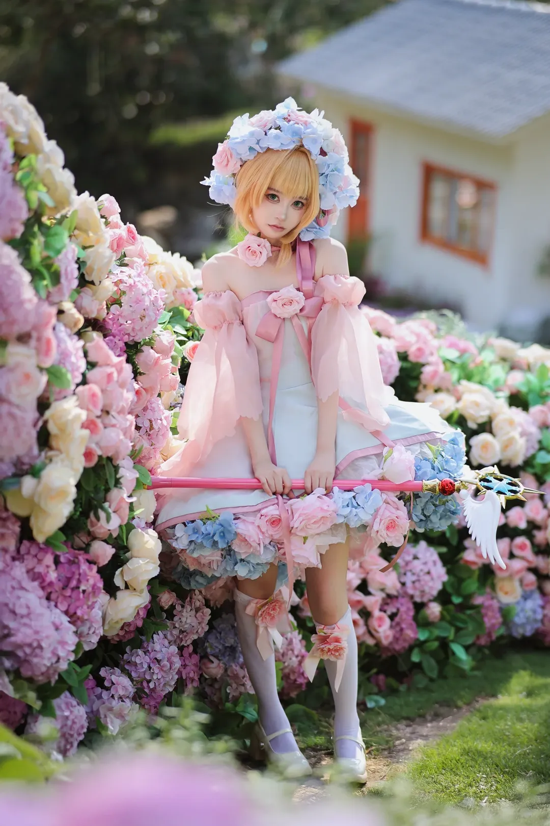魔法少女, 花海, 人像摄影, 魔卡少女樱, 小樱花仙子cos