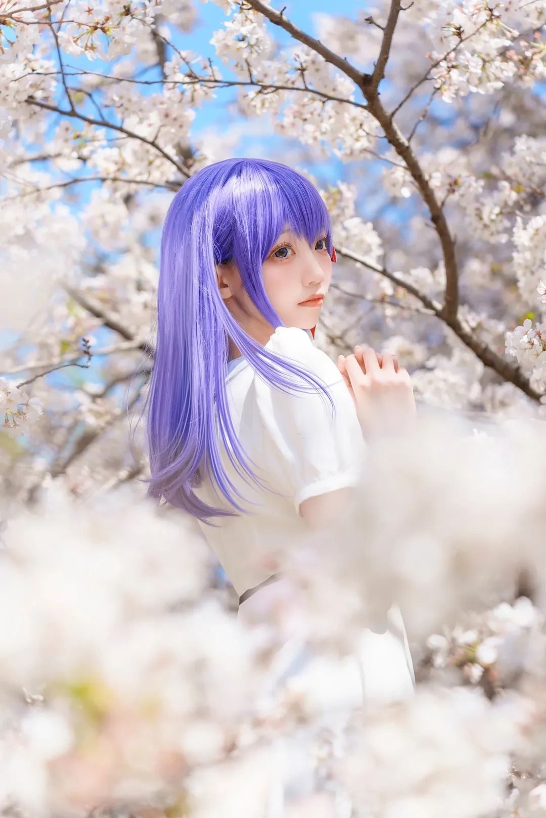 氛围感, 樱花, Fate系列, 白色连衣裙, 间桐樱cos