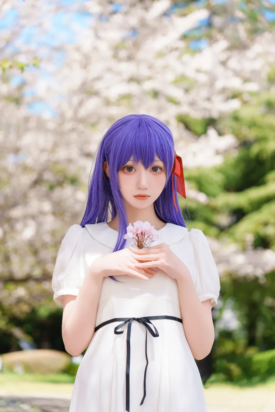 氛围感, 樱花, Fate系列, 白色连衣裙, 间桐樱cos - 第10张