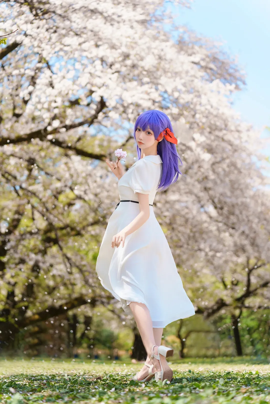 氛围感, 樱花, Fate系列, 白色连衣裙, 间桐樱cos - 第9张
