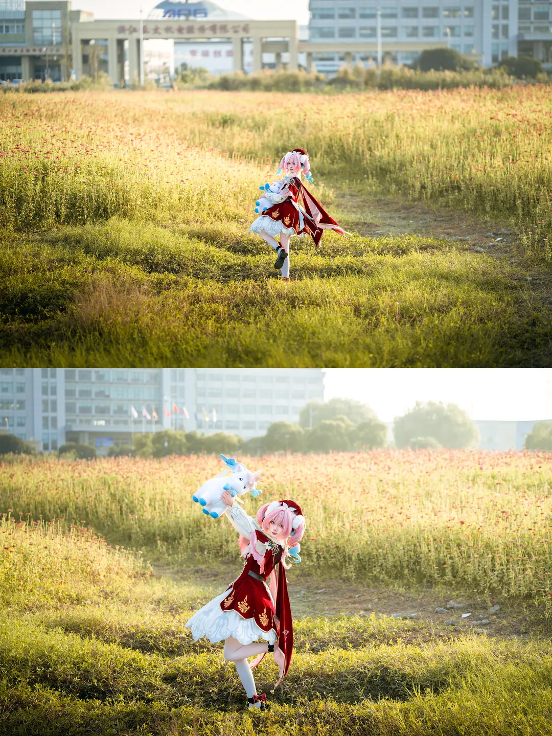崩坏星穹铁道, 花海摄影, 风堇cos, 二次元cos, cosplay外景 - 第9张