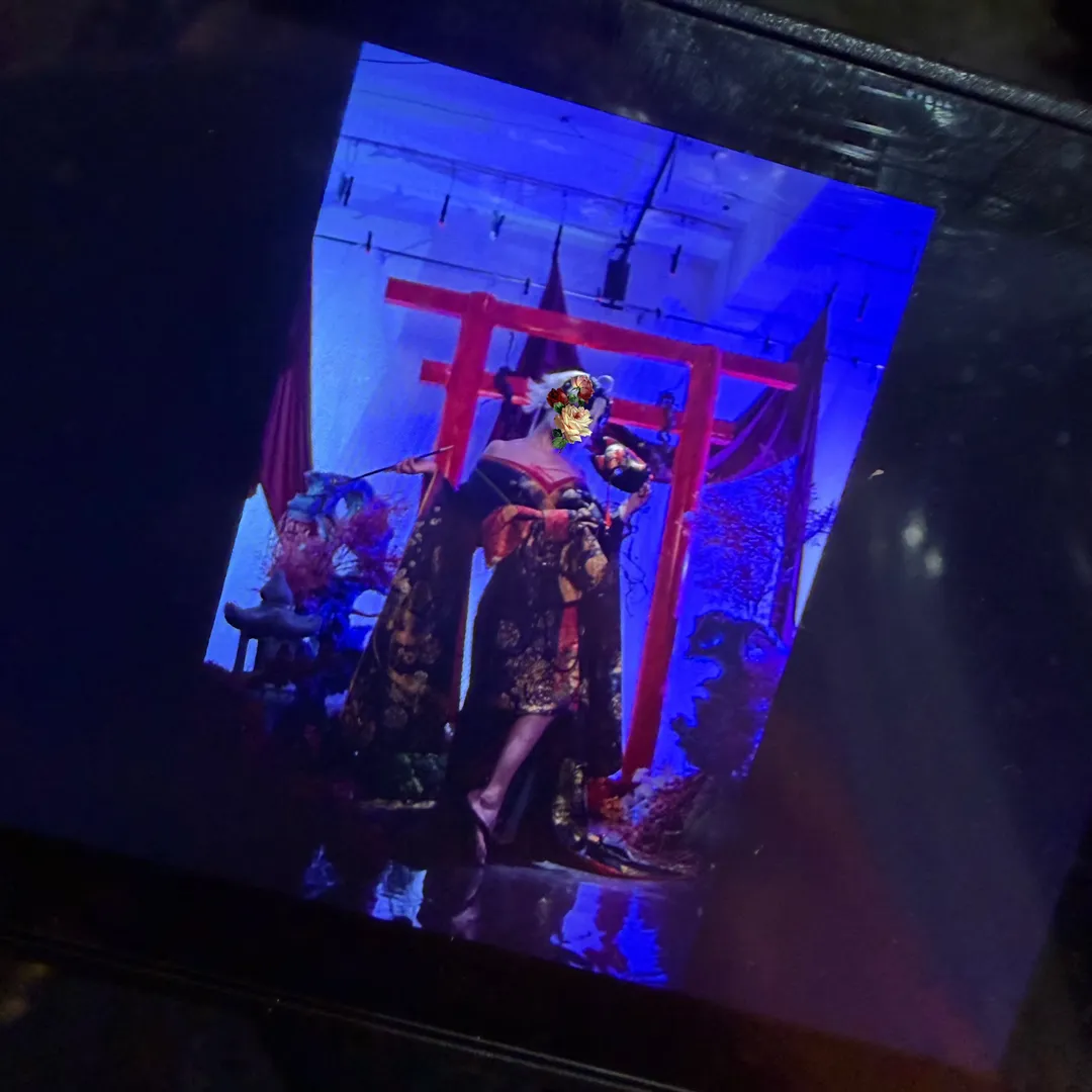 fatecosplay, 和风cosplay, FateGrandOrder, 贞德Altercos, 黑贞cos - 第7张