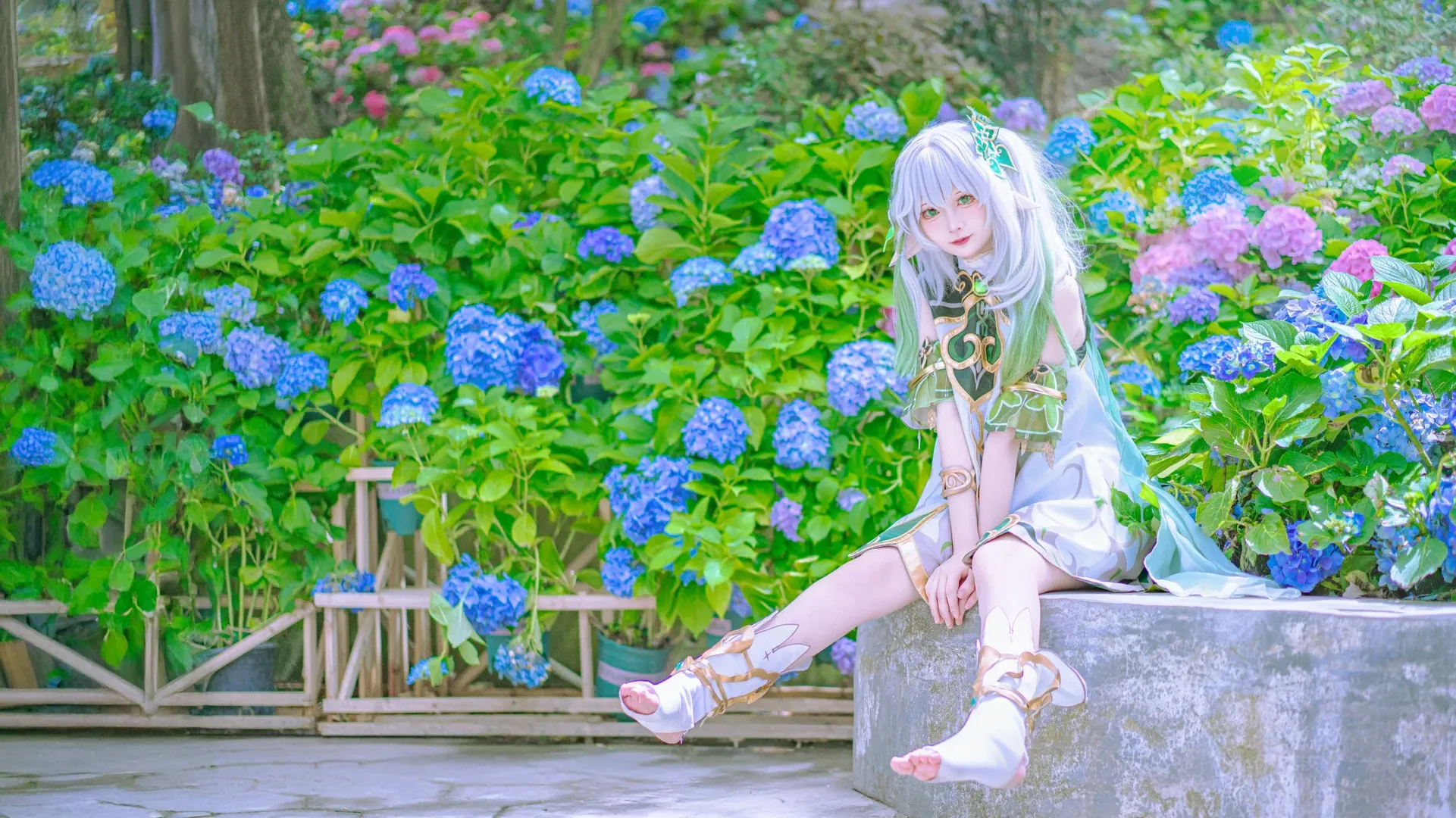 Genshin Impact, Nahida Cosplay, Cosplay photography, Hydrangea outdoor location, Dendro element cosplay - Image 5