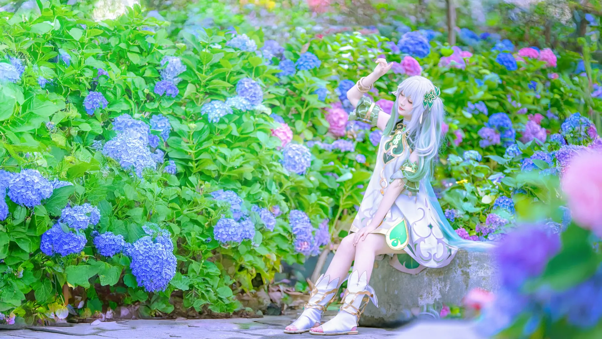 Genshin Impact, Nahida Cosplay, Cosplay photography, Hydrangea outdoor location, Dendro element cosplay - Image 7