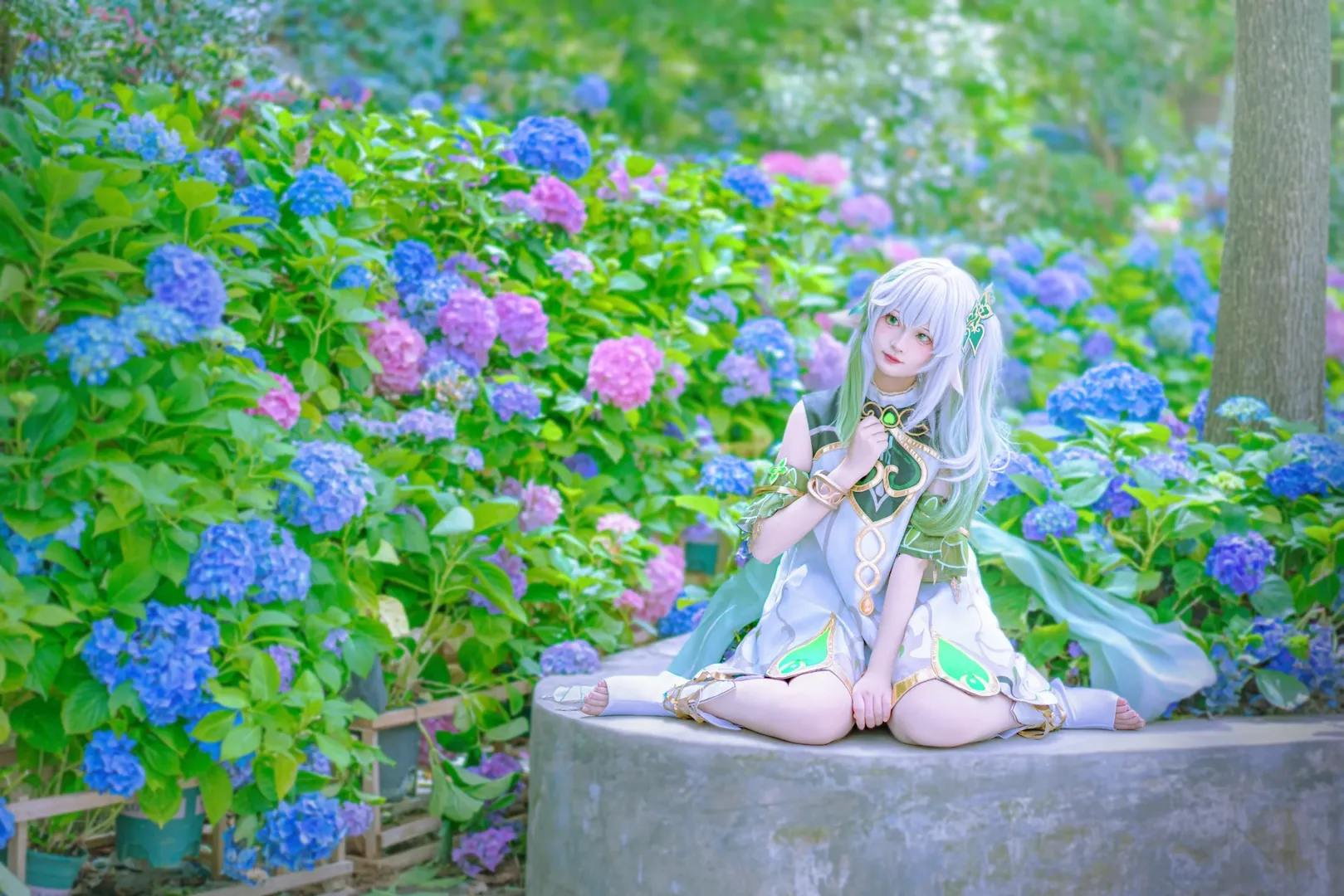 Genshin Impact, Nahida Cosplay, Cosplay photography, Hydrangea outdoor location, Dendro element cosplay - Image 8