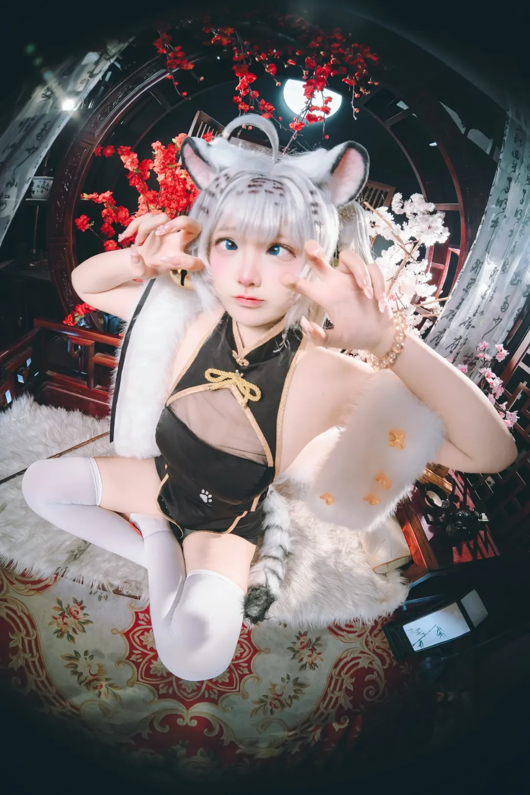 コスプレ写真, 白虎娘 コスプレ, 中国古風, 魚眼レンズ撮影, ケモノ娘コスプレ