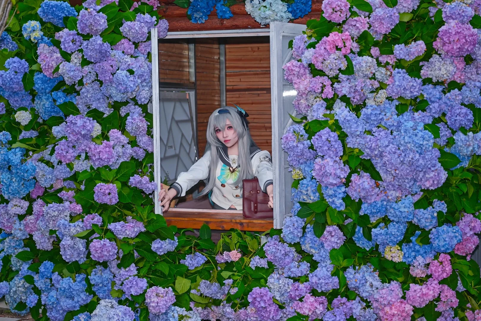 崩坏：星穹铁道, 少女感, 流萤cos, 绣球花, 春日来信 - 第3张