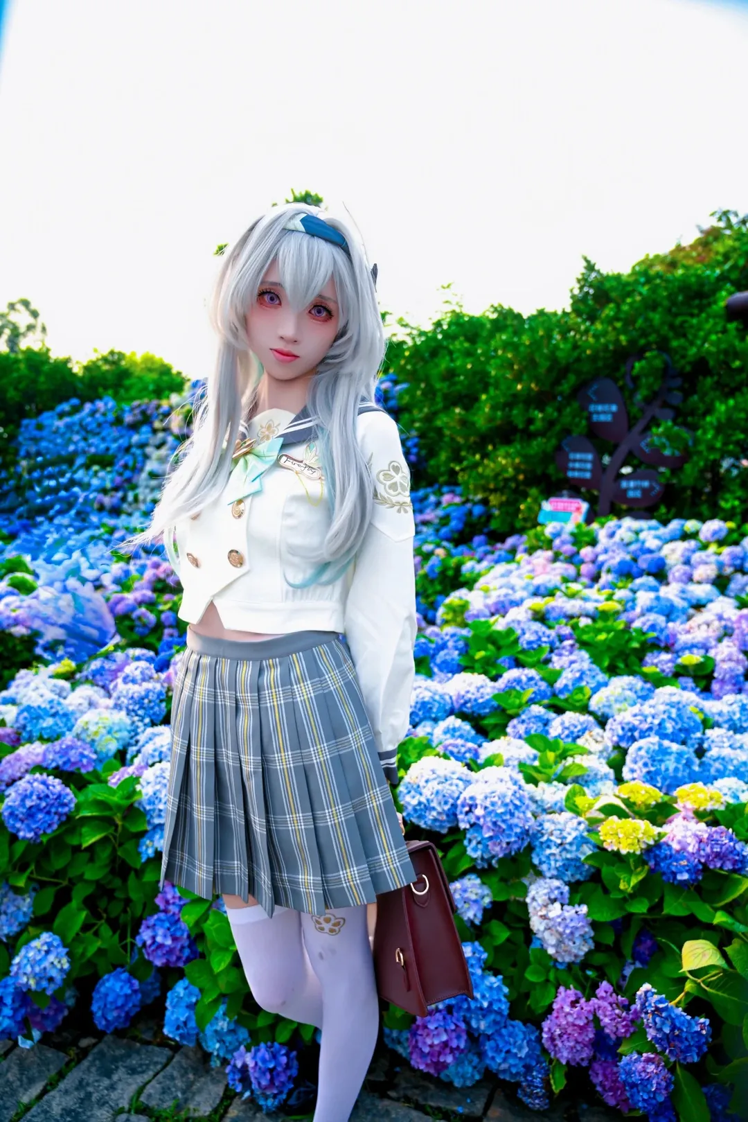 崩坏：星穹铁道, 少女感, 流萤cos, 绣球花, 春日来信 - 第4张