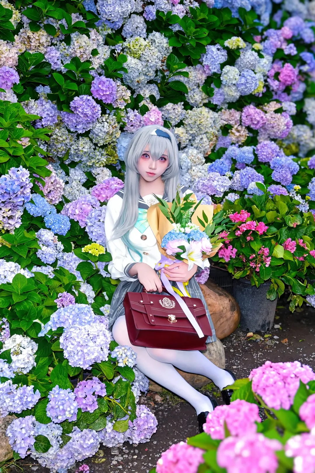 崩坏：星穹铁道, 少女感, 流萤cos, 绣球花, 春日来信 - 第5张