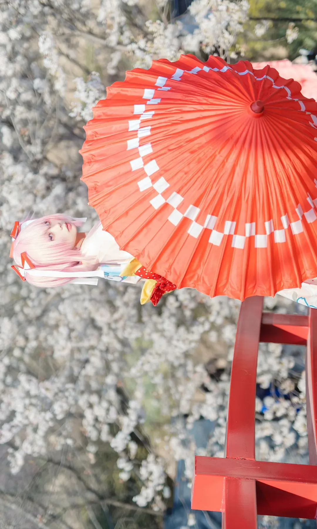 鹿目圆cos, 魔法少女小圆, 樱花摄影, cosplay分享, 和服外景 - 第2张