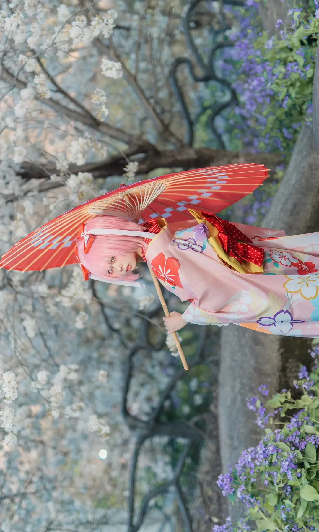 鹿目圆cos, 魔法少女小圆, 樱花摄影, cosplay分享, 和服外景