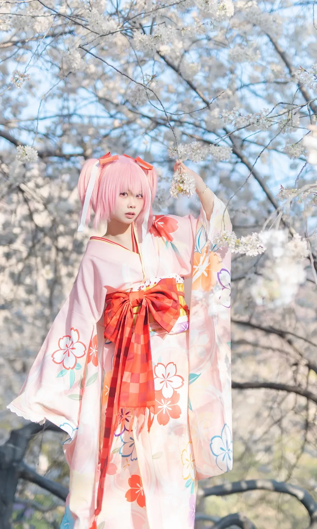 鹿目圆cos, 魔法少女小圆, cosplay摄影, 樱花季写真, 和服浴衣 - 第10张