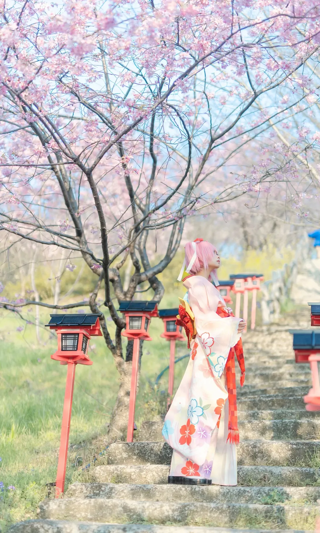 鹿目圆cos, 魔法少女小圆, cosplay摄影, 樱花季写真, 和服浴衣 - 第9张