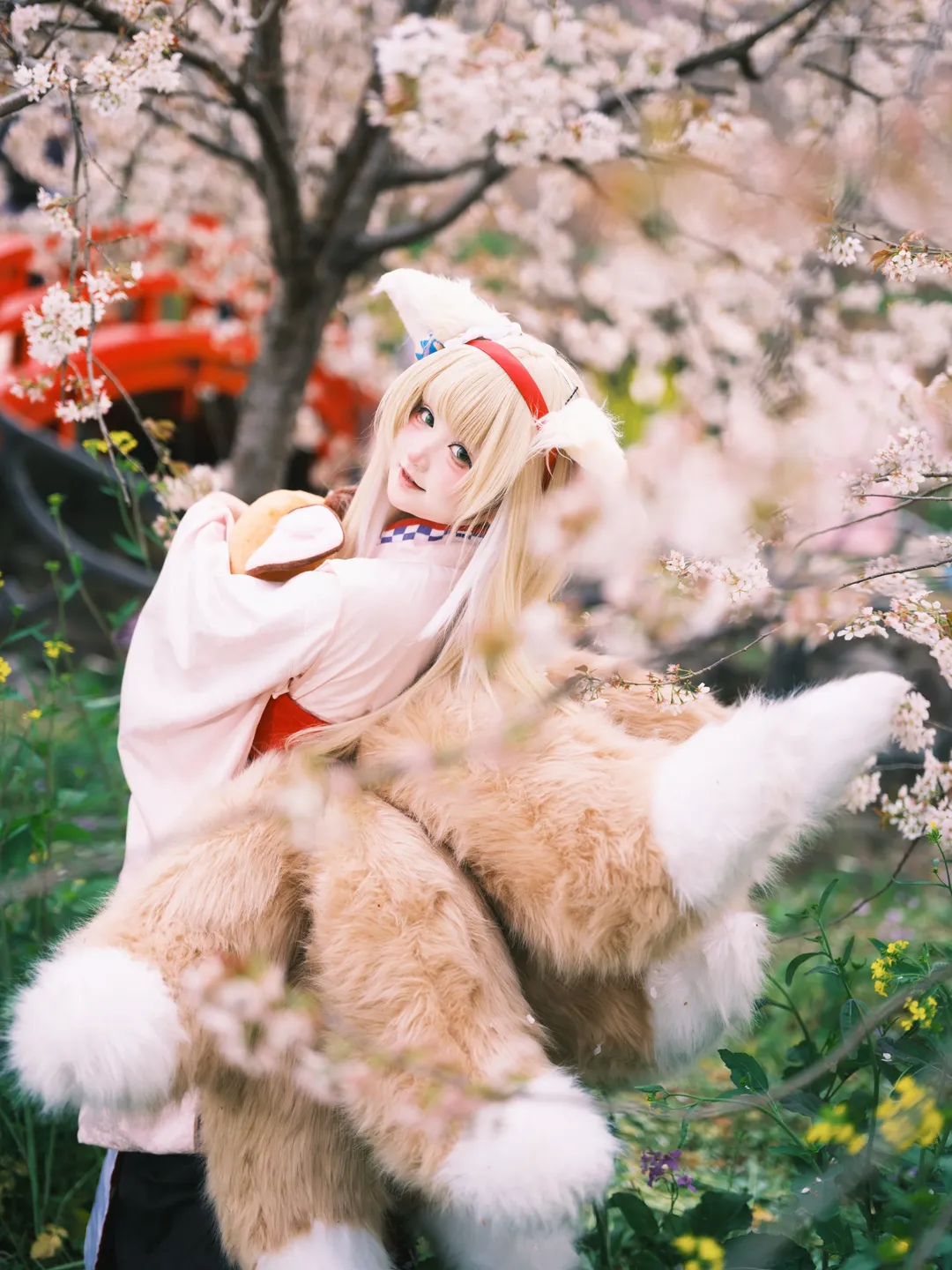 明日方舟, 铃兰cos, 樱花外景, 和风cosplay, 兽耳娘