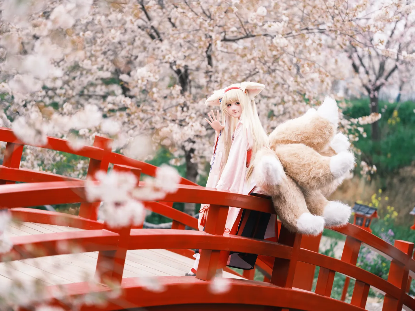 Arknights, Suzuran Cosplay, Cherry blossom outdoor scene, Japanese style cosplay, Kemonomimi girl - Image 6