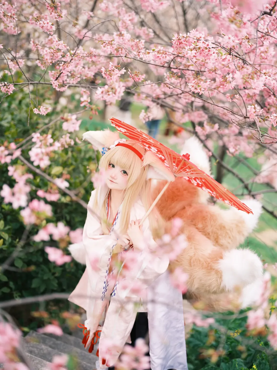 明日方舟, 铃兰cos, 樱花外景, 雪霁, cosplay摄影 - 第3张