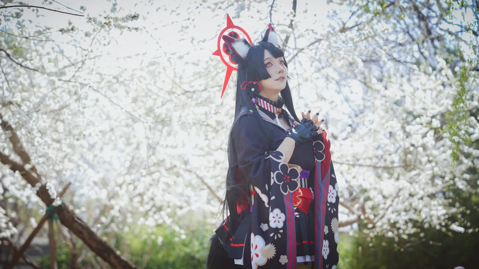 碧蓝档案, 玉渊潭樱花, cosplay摄影, 二次元外景, 狐坂若藻cos - 第4张