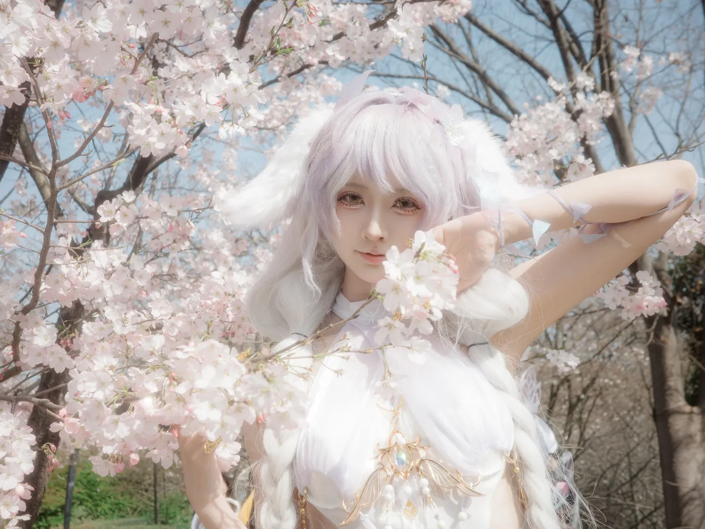 cosplay, 古风摄影, 永劫无间, 樱花, 春不敛cos - 第8张