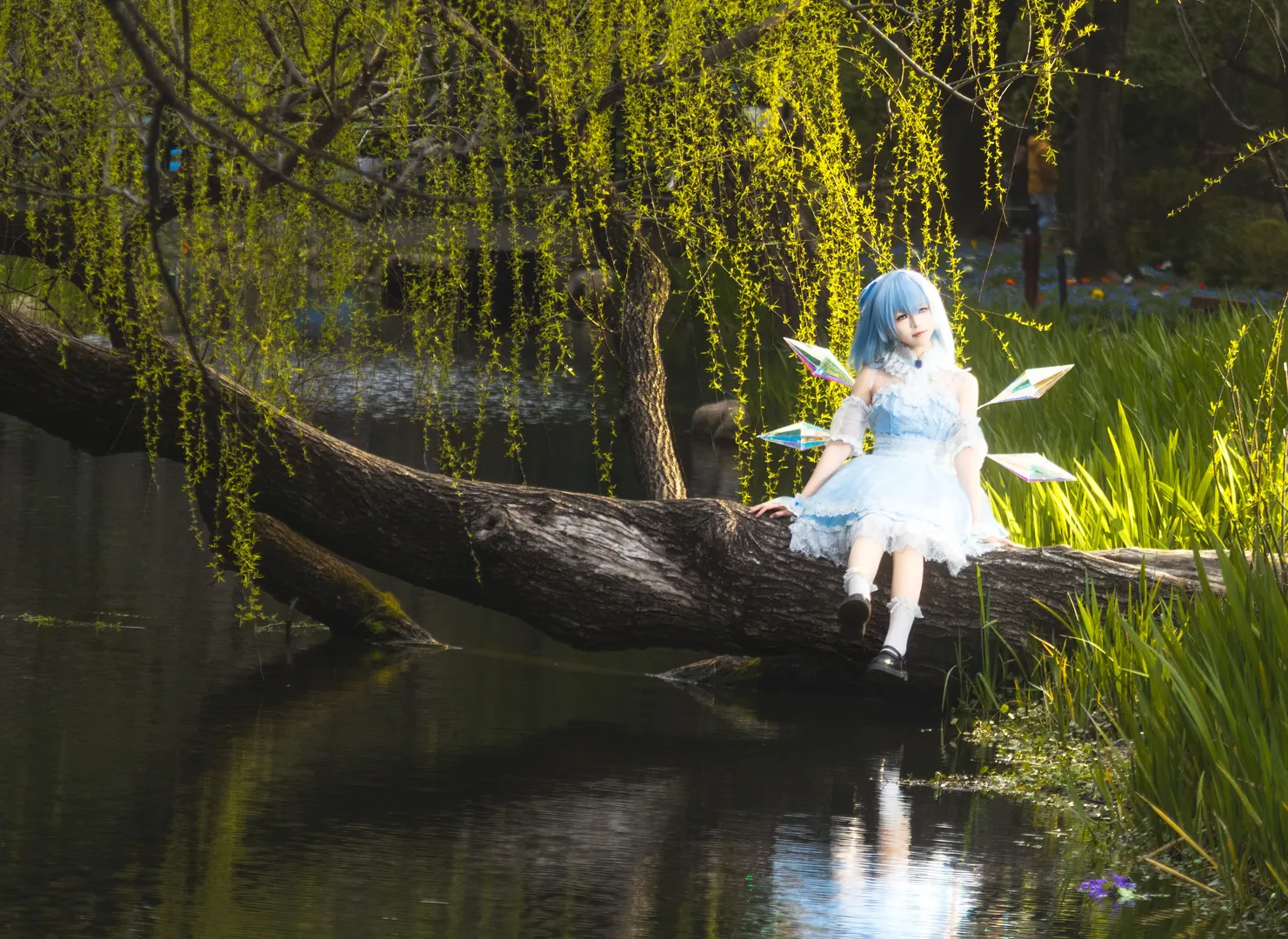 二次元摄影, 东方project, Cosplay正片, 琪露诺cos, 林间外景 - 第9张