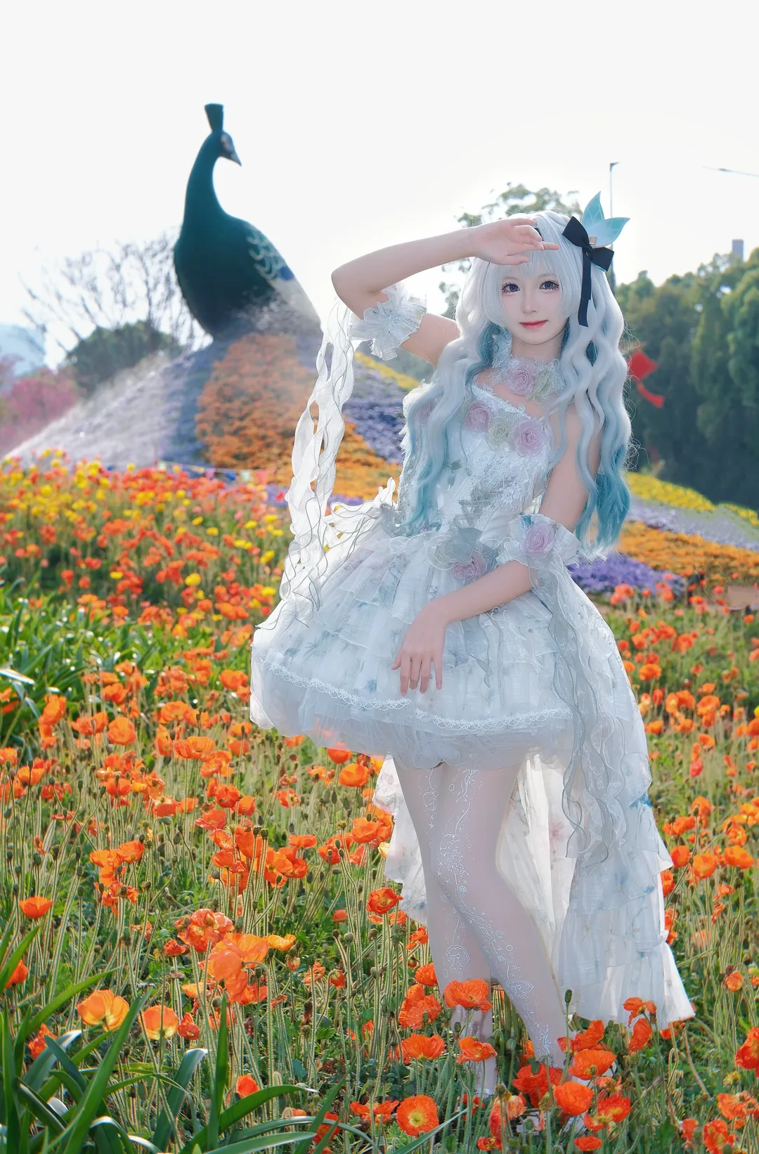 Cosplay, 崩坏：星穹铁道, 流萤cos, 花海拍摄, 私设Cos - 第2张