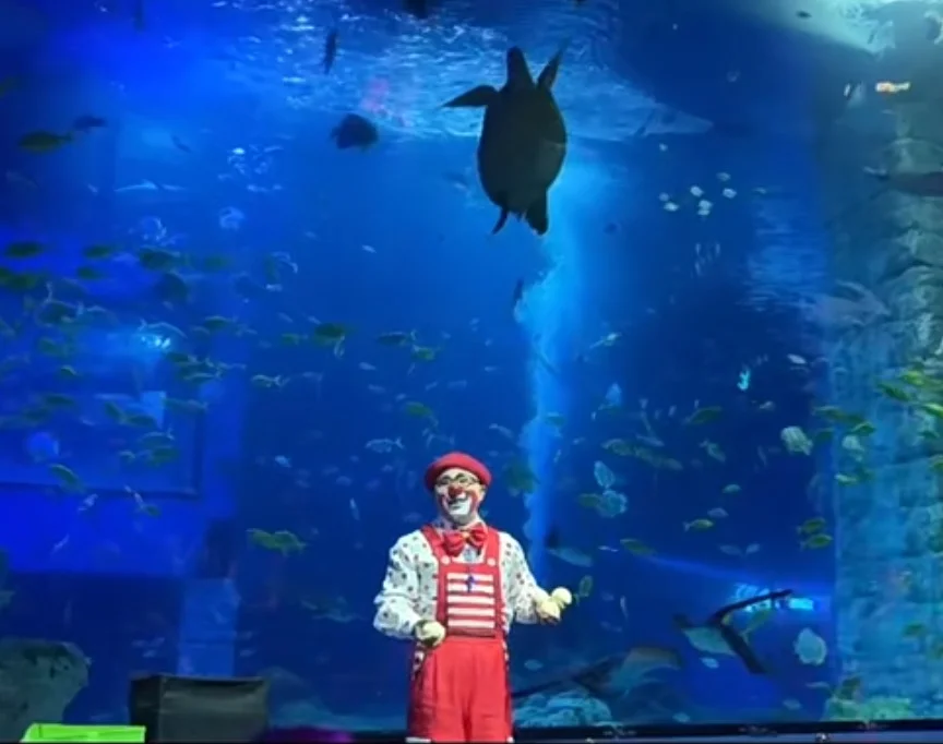 原神, スカーク コスプレ, 正佳極地海洋世界, アニメイベントチェックイン, 水中撮影 - 15枚目