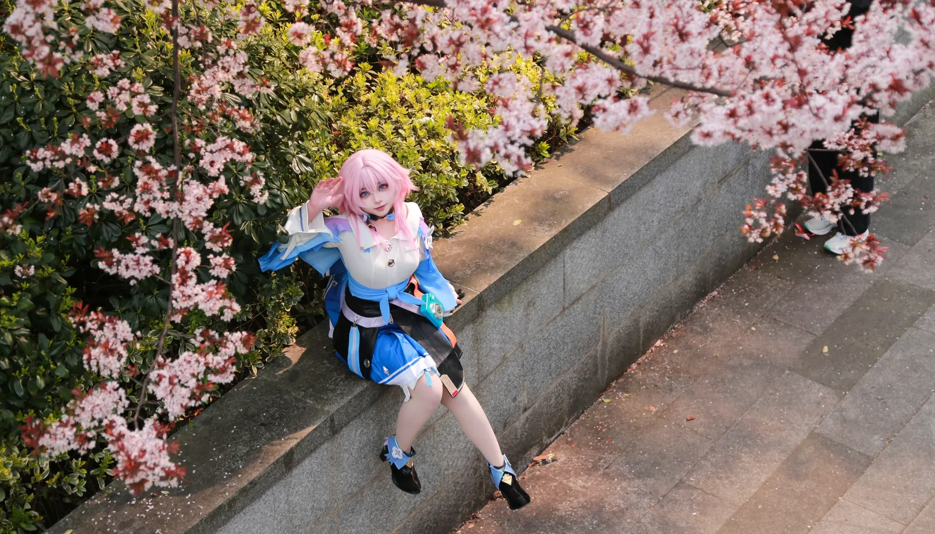 二次元攝影, 崩壞星穹鐵道, 三月七cos, 櫻花外景, cosplay日常