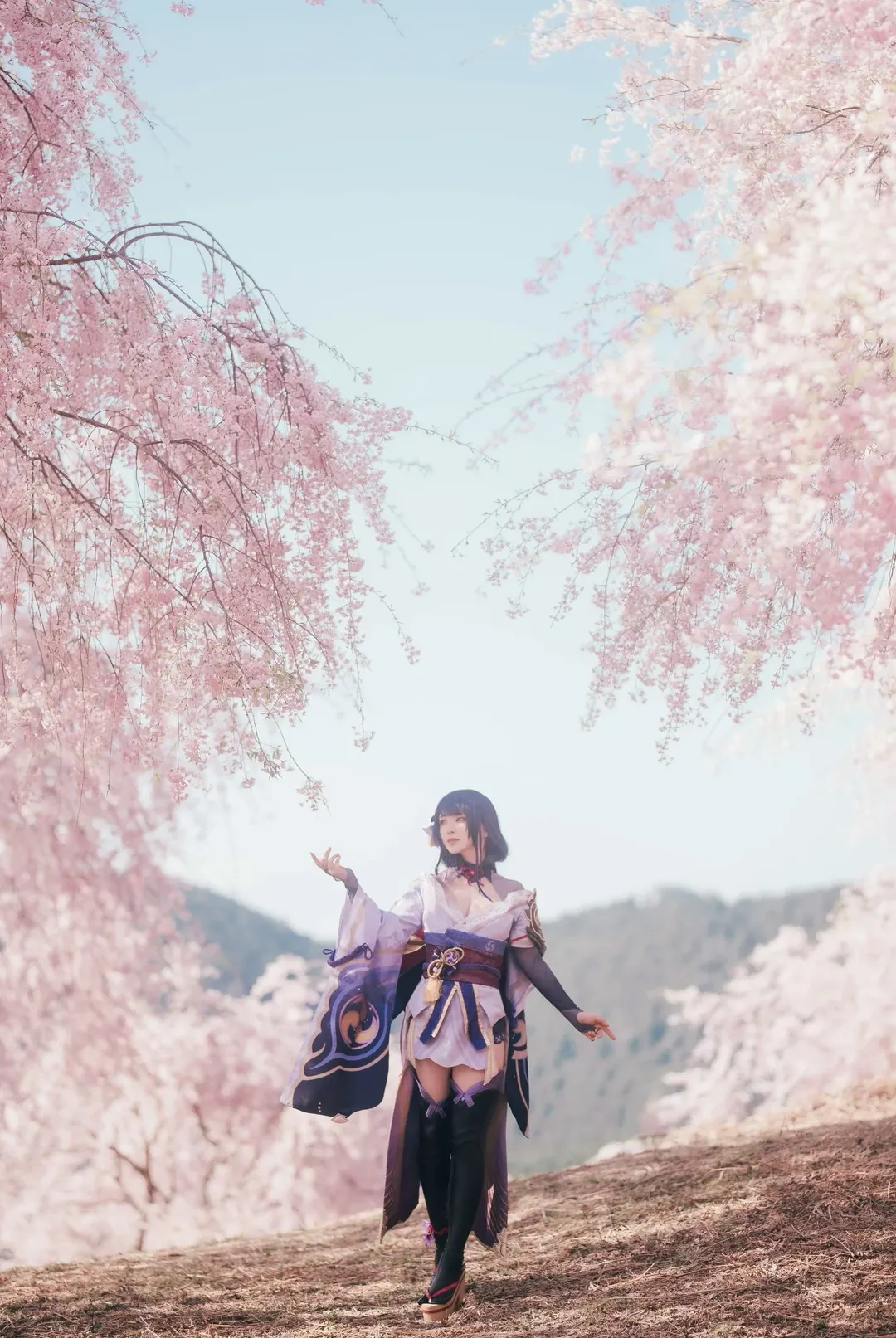 原神, 櫻花外景, cosplay攝影, 雷電將軍cos, 稻妻氛圍
